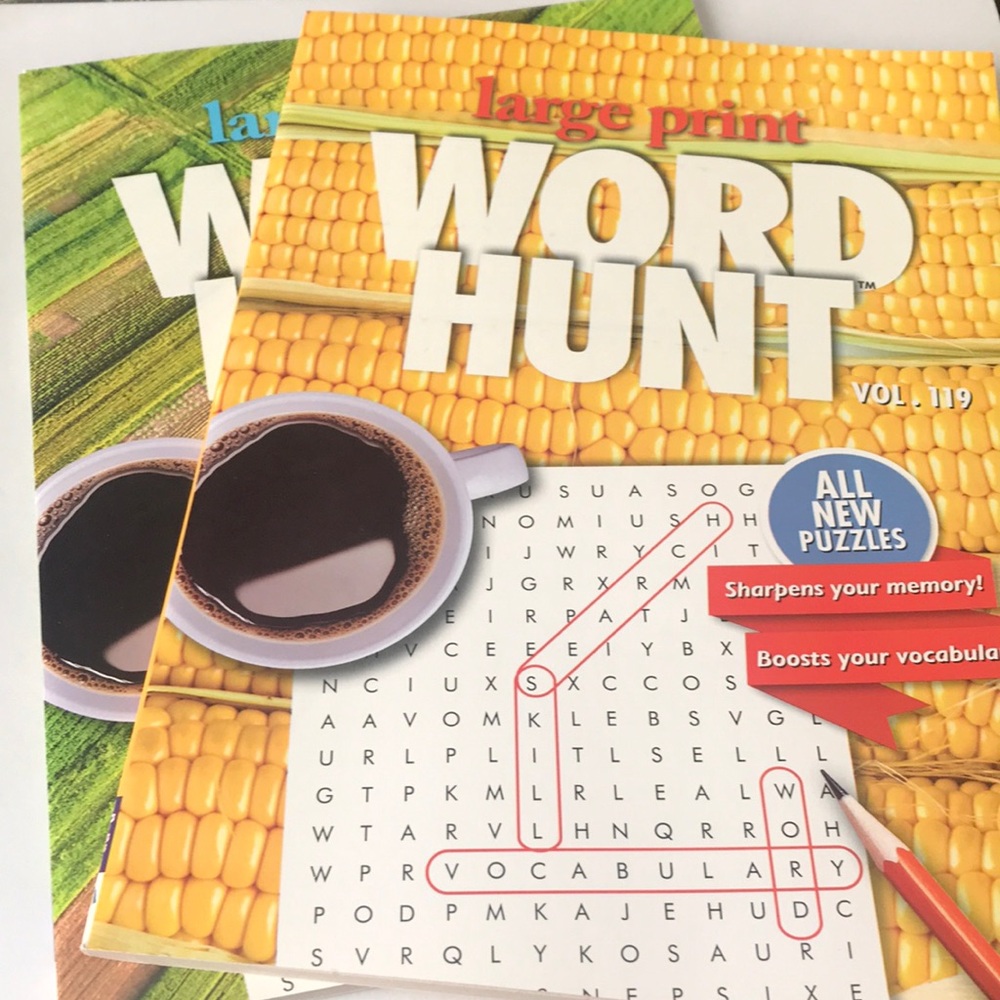 Papp Publishing Word Hunt puzzle books of 2